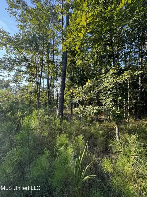 Helmlock Road, Pachuta, MS 39347 photo 4