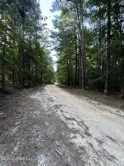 Helmlock Road, Pachuta, MS 39347 photo 9