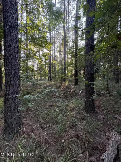 Helmlock Road, Pachuta, MS 39347 photo 2