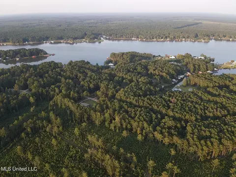 Helmlock Road, Pachuta, MS 39347 photo 11