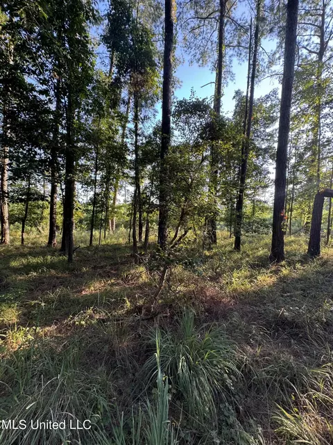 Helmlock Road, Pachuta, MS 39347 photo 3