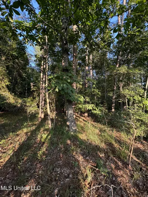 Helmlock Road, Pachuta, MS 39347 photo 6