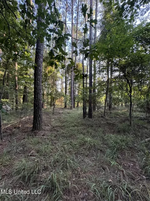 Helmlock Road, Pachuta, MS 39347 photo 7