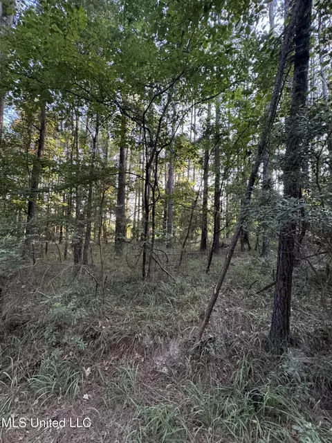 Helmlock Road, Pachuta, MS 39347 photo 10