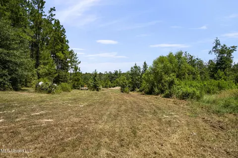 2140 Central Firetower Rd, Lucedale, MS 39452 photo 18