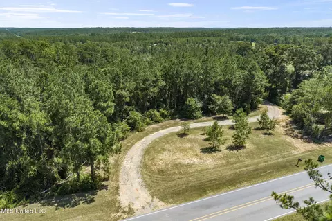 2140 Central Firetower Rd, Lucedale, MS 39452 photo 4