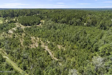 2140 Central Firetower Rd, Lucedale, MS 39452 photo 14