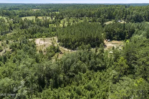 2140 Central Firetower Rd, Lucedale, MS 39452 photo 13