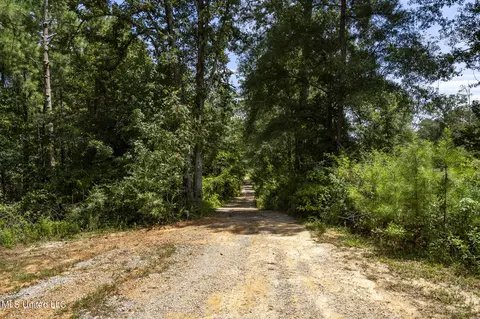 2140 Central Firetower Rd, Lucedale, MS 39452 photo 24
