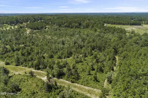 2140 Central Firetower Rd, Lucedale, MS 39452 photo 15