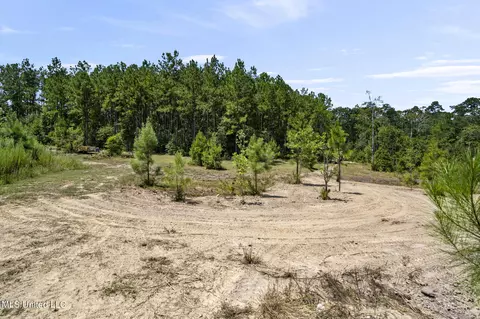 2140 Central Firetower Rd, Lucedale, MS 39452 photo 19