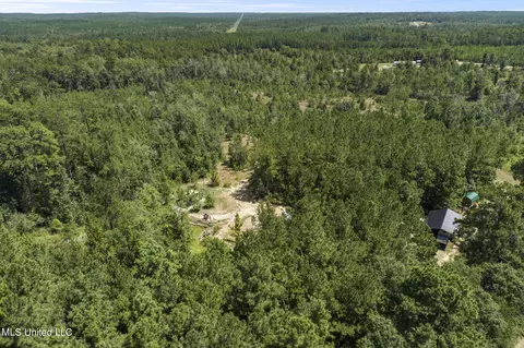 2140 Central Firetower Rd, Lucedale, MS 39452 photo 12