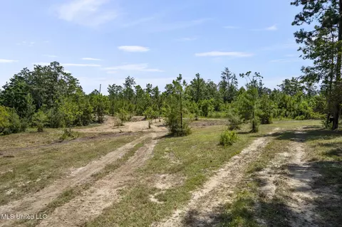 2140 Central Firetower Rd, Lucedale, MS 39452 photo 16