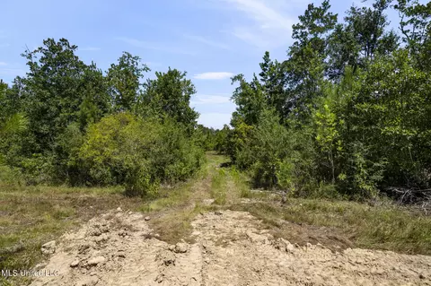 2140 Central Firetower Rd, Lucedale, MS 39452 photo 20