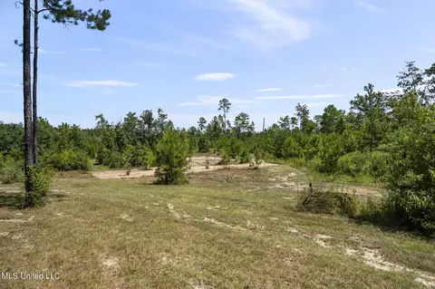 2140 Central Firetower Rd, Lucedale, MS 39452 photo 17