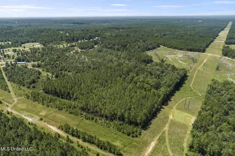 2140 Central Firetower Rd, Lucedale, MS 39452 photo 9