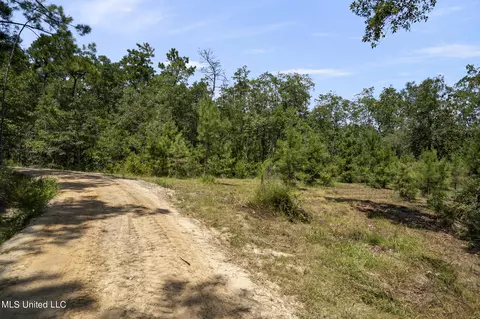 2140 Central Firetower Rd, Lucedale, MS 39452 photo 21