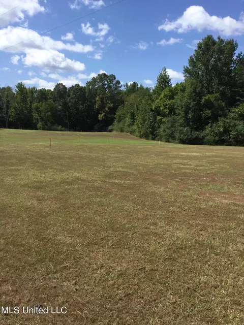 0 Rowell Rd, Coldwater, MS 38618 photo 5