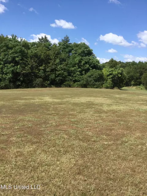 0 Rowell Rd, Coldwater, MS 38618 photo 4