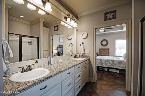Bath - 224 Stonebridge Blvd, Brandon, MS 39042 photo 4 of 4