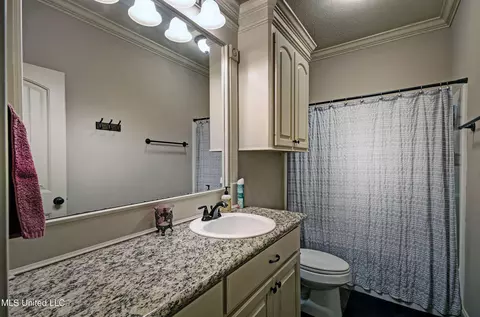 Bath - 224 Stonebridge Blvd, Brandon, MS 39042 photo 1 of 4