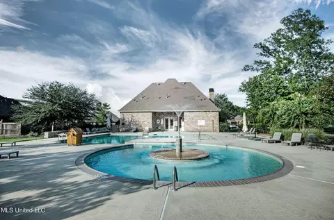 Exterior - 224 Stonebridge Blvd, Brandon, MS 39042 photo 10 of 11