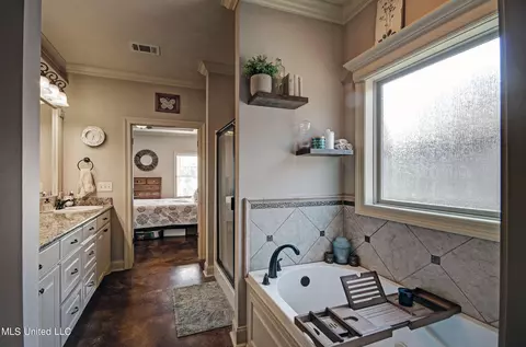 Bath - 224 Stonebridge Blvd, Brandon, MS 39042 photo 3 of 4
