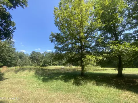 Tullos Cove, Brandon, MS 39042 photo 6