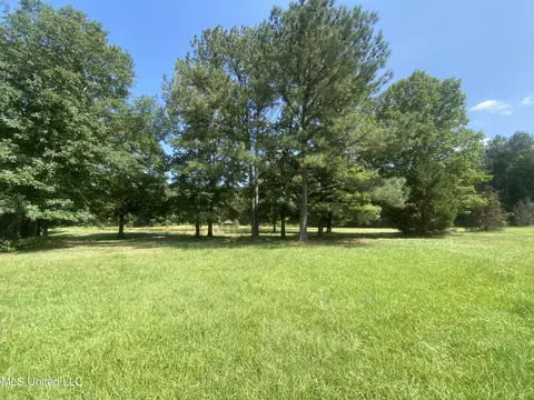 Tullos Cove, Brandon, MS 39042 photo 7