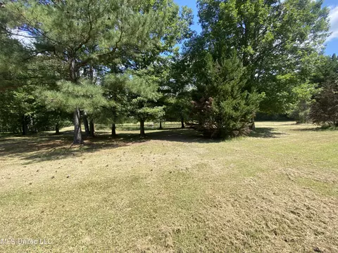 Tullos Cove, Brandon, MS 39042 photo 8