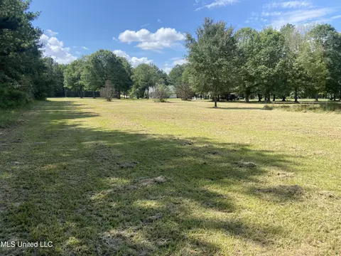 Tullos Cove, Brandon, MS 39042 photo 10