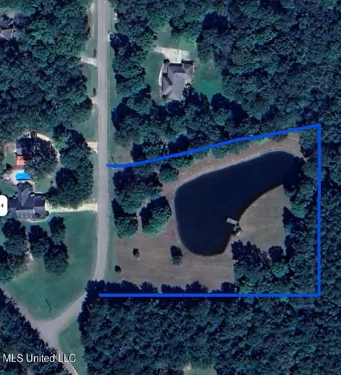 Tullos Cove, Brandon, MS 39042 photo 11