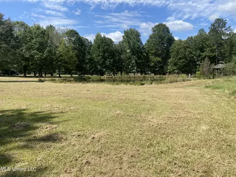 Tullos Cove, Brandon, MS 39042 photo 5