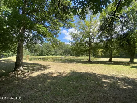 Tullos Cove, Brandon, MS 39042 photo 1