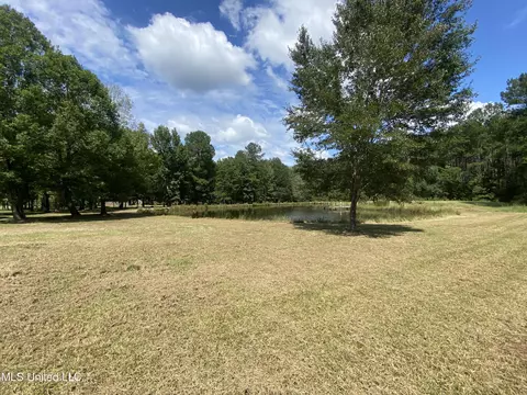 Tullos Cove, Brandon, MS 39042 photo 2