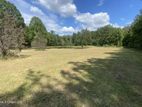 Tullos Cove, Brandon, MS 39042 photo 9