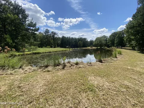 Tullos Cove, Brandon, MS 39042 photo 4