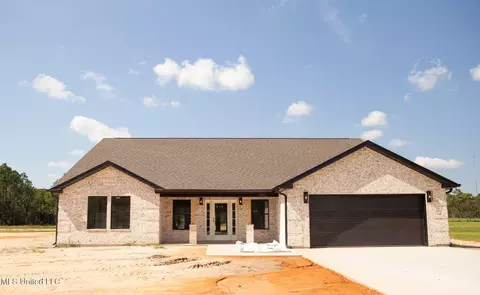 Exterior - 13800 Pine Ave, Vancleave, MS 39565 photo 3 of 4
