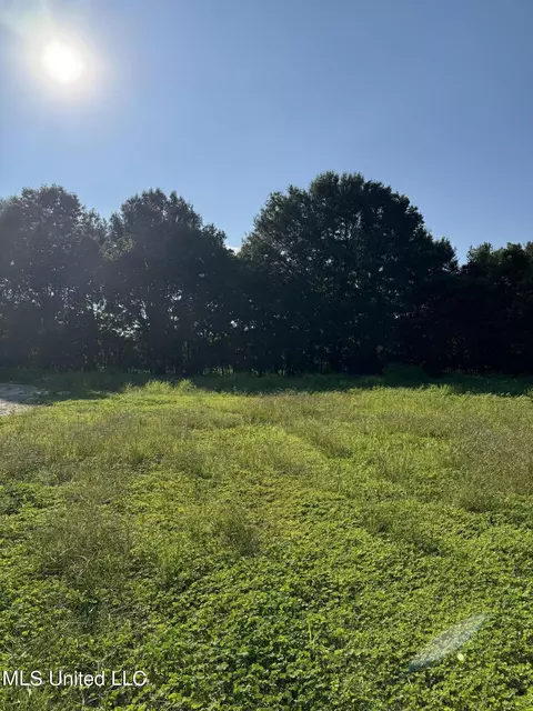 Holly Springs Road, Hernando, MS 38632 photo 3