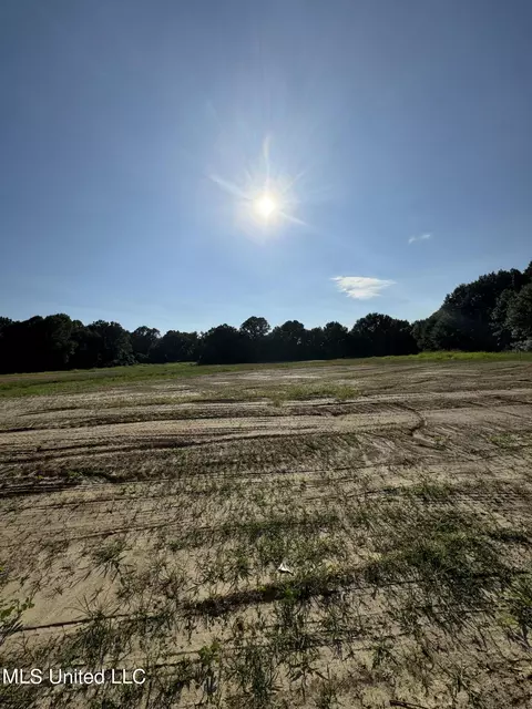 Holly Springs Road, Hernando, MS 38632 photo 5