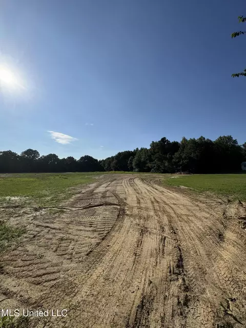 Holly Springs Road, Hernando, MS 38632 photo 4