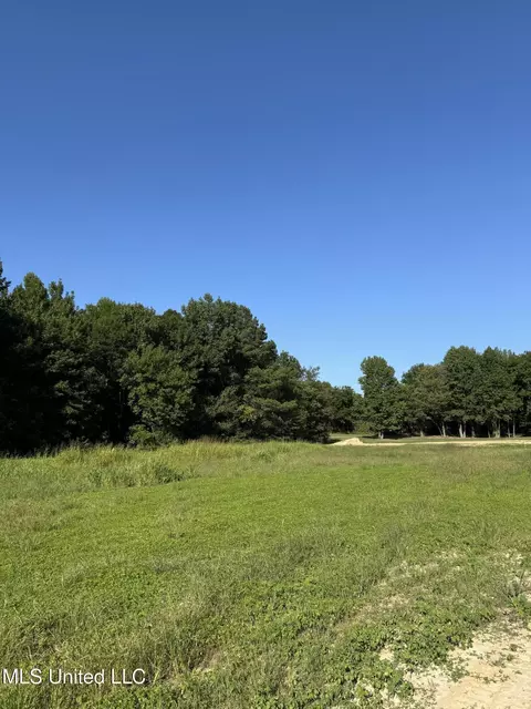 Holly Springs Road, Hernando, MS 38632 photo 2