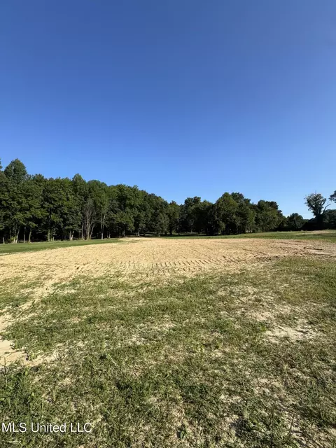 Holly Springs Road, Hernando, MS 38632 photo 7