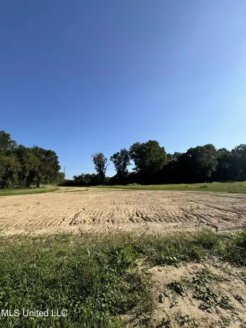 Holly Springs Road, Hernando, MS 38632 photo 4