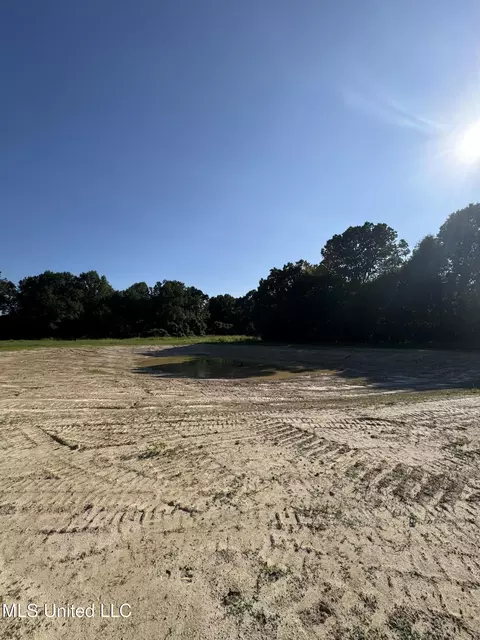 Holly Springs Road, Hernando, MS 38632 photo 5