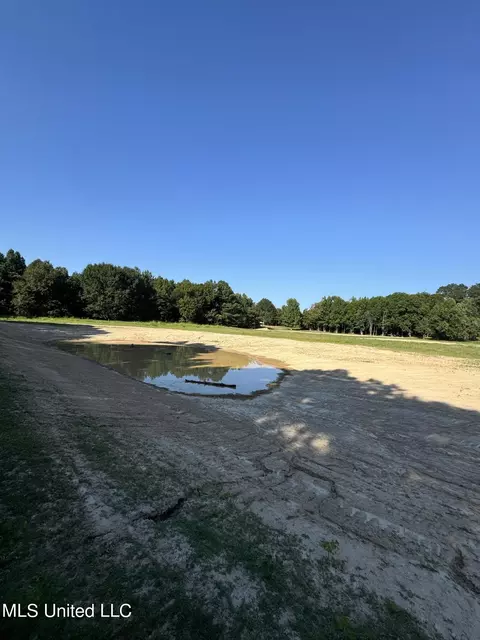 Holly Springs Road, Hernando, MS 38632 photo 7