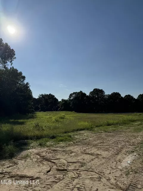Holly Springs Road, Hernando, MS 38632 photo 3