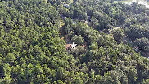 17235 Saucier Lizana Rd, Saucier, MS 39574 photo 4