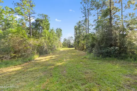 17235 Saucier Lizana Rd, Saucier, MS 39574 photo 17