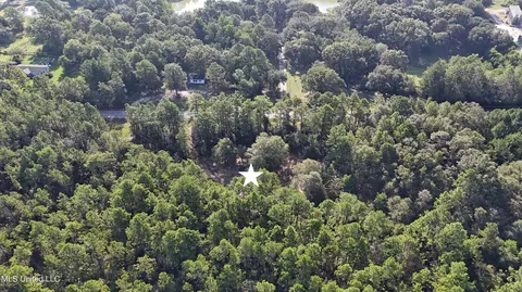 17235 Saucier Lizana Rd, Saucier, MS 39574 photo 5